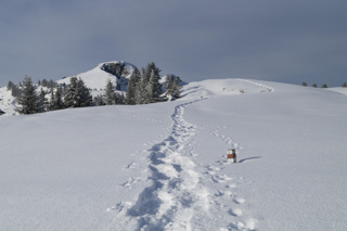 Ausflug in den Winter