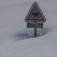 Schild auf der Nufenenpassstraße