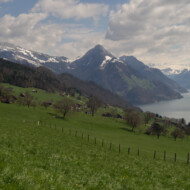 Frühling am Vierwaldstättersee